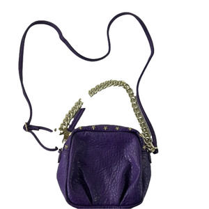 Steve Madden Purple Vegan Crossbody Purse Handbag with Gold Accents